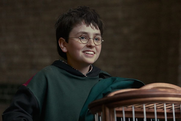 I'll Show You My Harry Potter