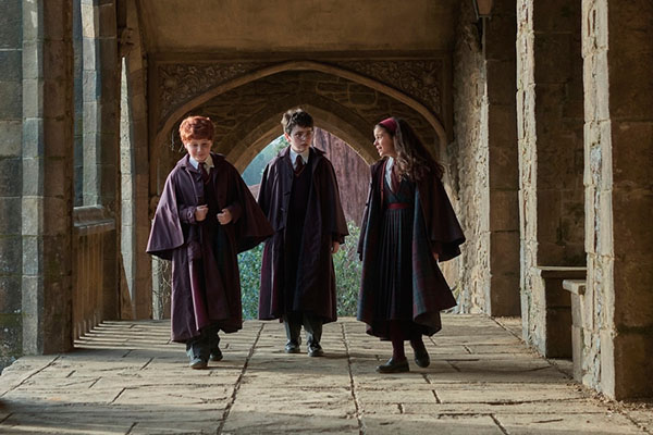 I'll Show You My Harry Potter