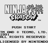 Ninja Gaiden Shadow